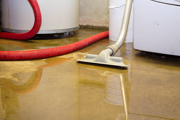 Best Water damage restoration company  in USA